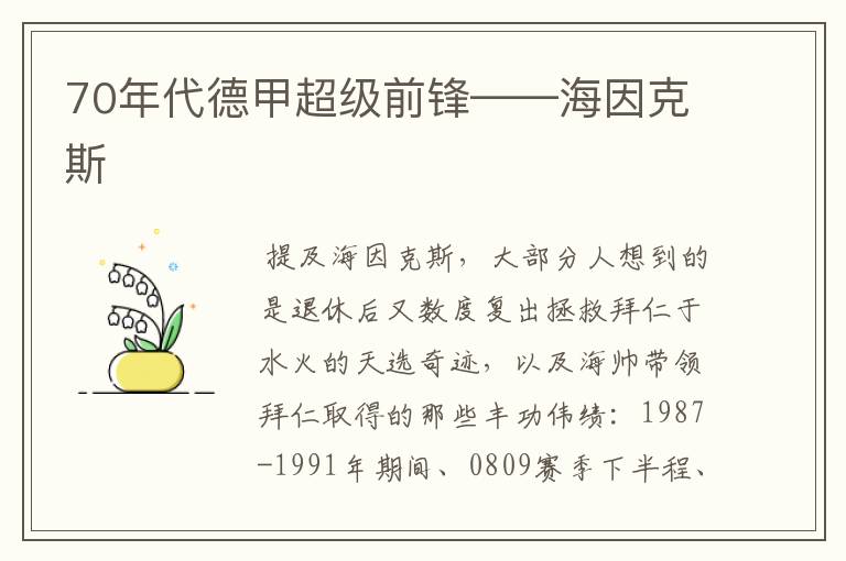 70年代德甲超级前锋——海因克斯