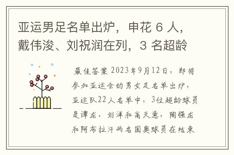 亚运男足名单出炉，申花 6 人，戴伟浚、刘祝润在列，3 名超龄球员入选，对他们的表现都有哪些期待？