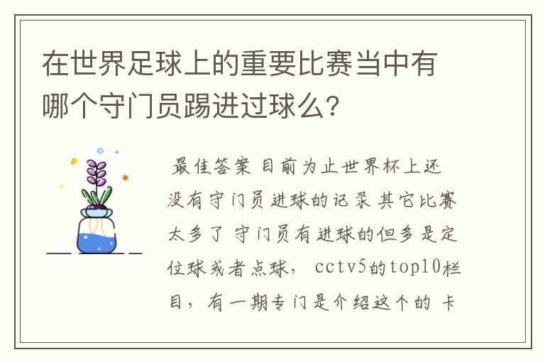 在世界足球上的重要比赛当中有哪个守门员踢进过球么?