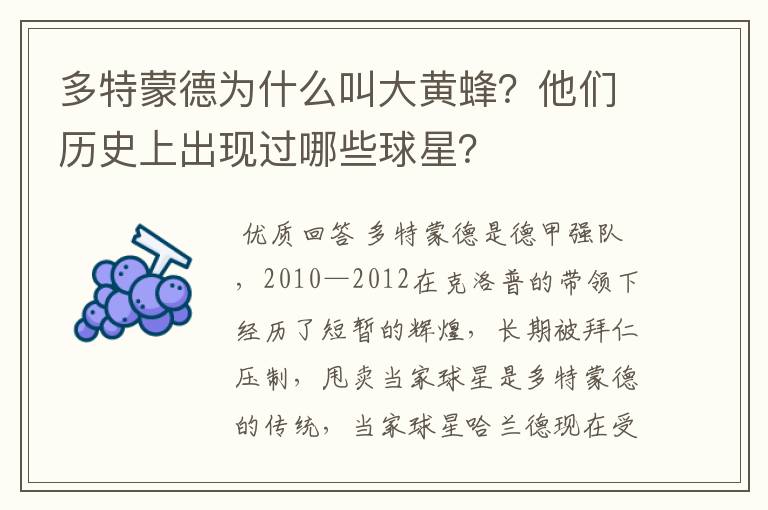 多特蒙德为什么叫大黄蜂？他们历史上出现过哪些球星？