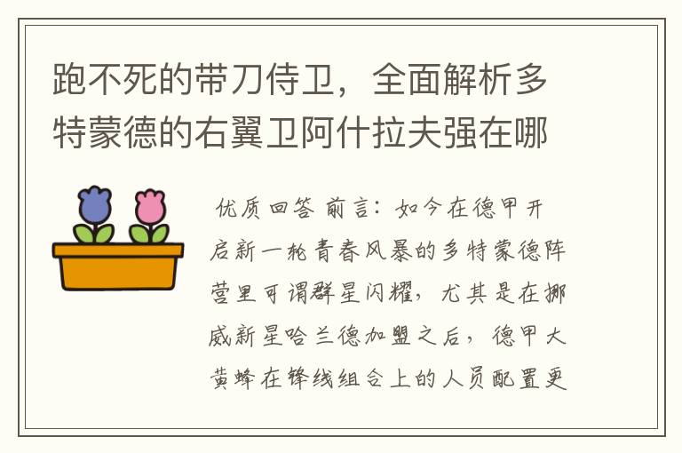 跑不死的带刀侍卫，全面解析多特蒙德的右翼卫阿什拉夫强在哪里