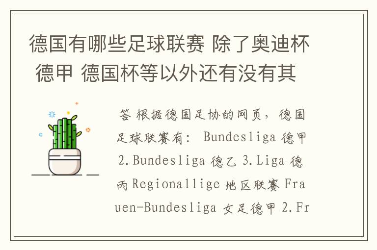 德国有哪些足球联赛 除了奥迪杯 德甲 德国杯等以外还有没有其他的？