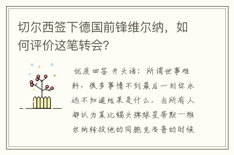 切尔西签下德国前锋维尔纳，如何评价这笔转会？