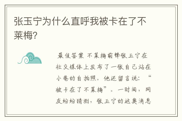 张玉宁为什么直呼我被卡在了不莱梅？