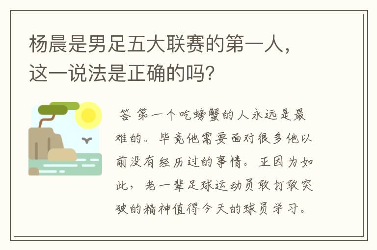 杨晨是男足五大联赛的第一人，这一说法是正确的吗？