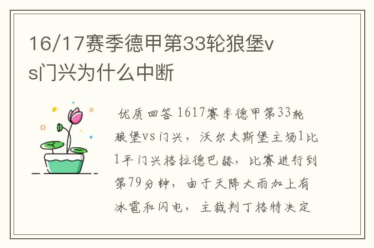 16/17赛季德甲第33轮狼堡vs门兴为什么中断