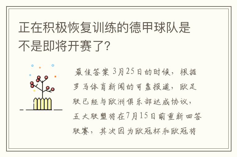 正在积极恢复训练的德甲球队是不是即将开赛了？