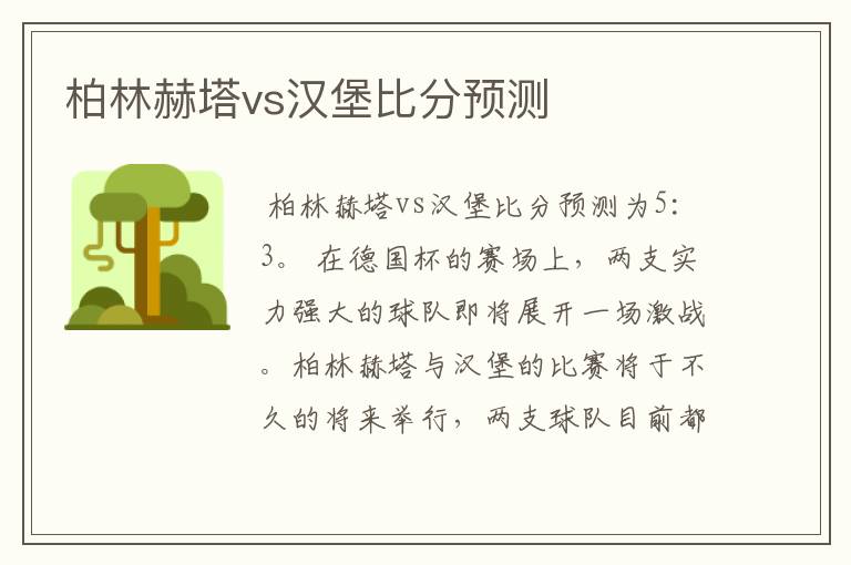 柏林赫塔vs汉堡比分预测