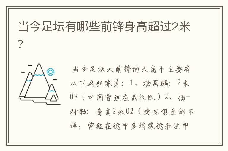 当今足坛有哪些前锋身高超过2米？