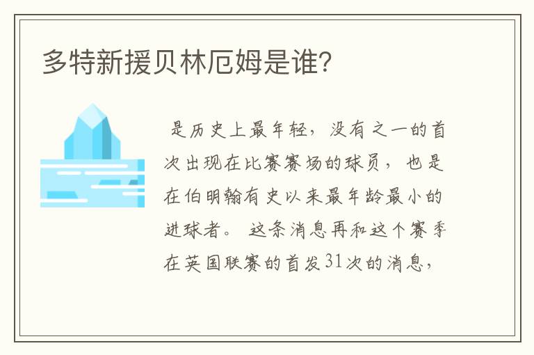 多特新援贝林厄姆是谁？