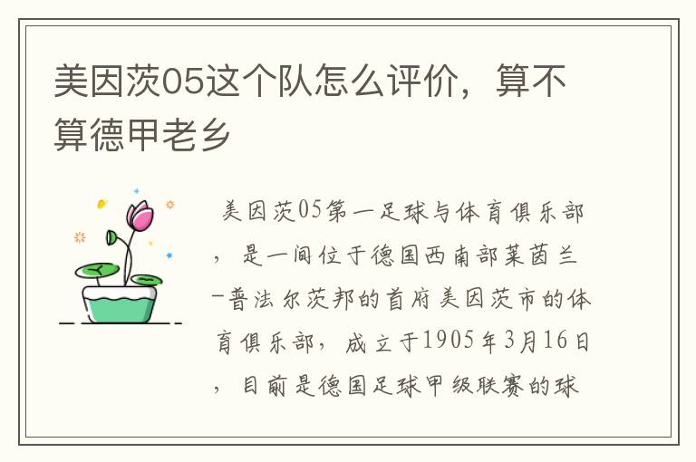 美因茨05这个队怎么评价，算不算德甲老乡