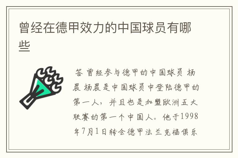 曾经在德甲效力的中国球员有哪些