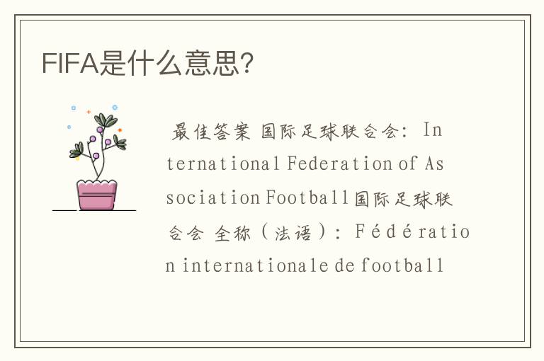 FIFA是什么意思？