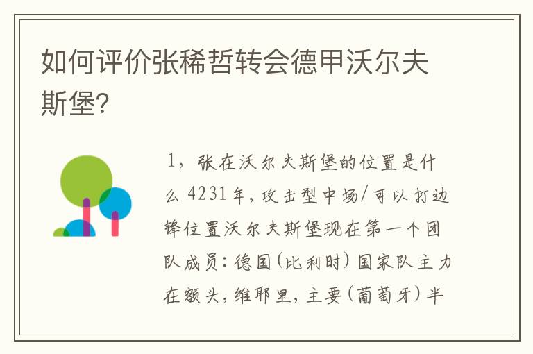 如何评价张稀哲转会德甲沃尔夫斯堡？