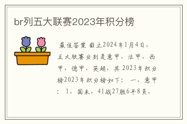 br列五大联赛2023年积分榜