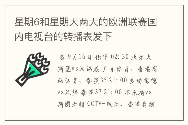 星期6和星期天两天的欧洲联赛国内电视台的转播表发下