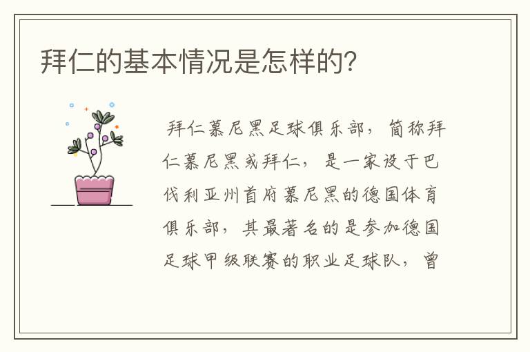 拜仁的基本情况是怎样的？