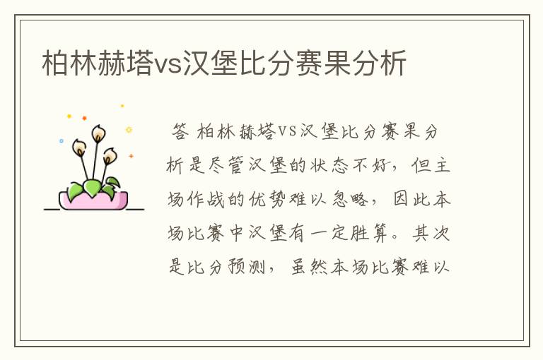 柏林赫塔vs汉堡比分赛果分析