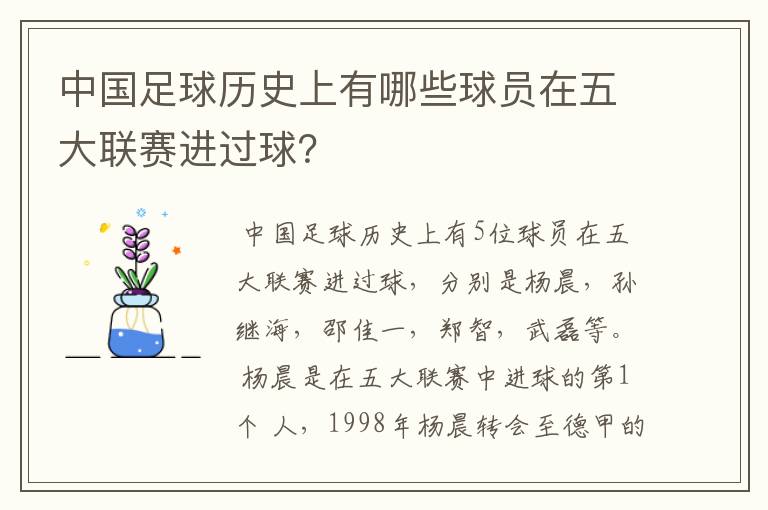 中国足球历史上有哪些球员在五大联赛进过球？