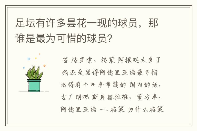 足坛有许多昙花一现的球员，那谁是最为可惜的球员？