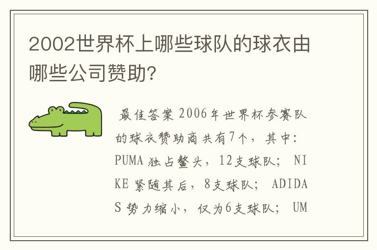 2002世界杯上哪些球队的球衣由哪些公司赞助?