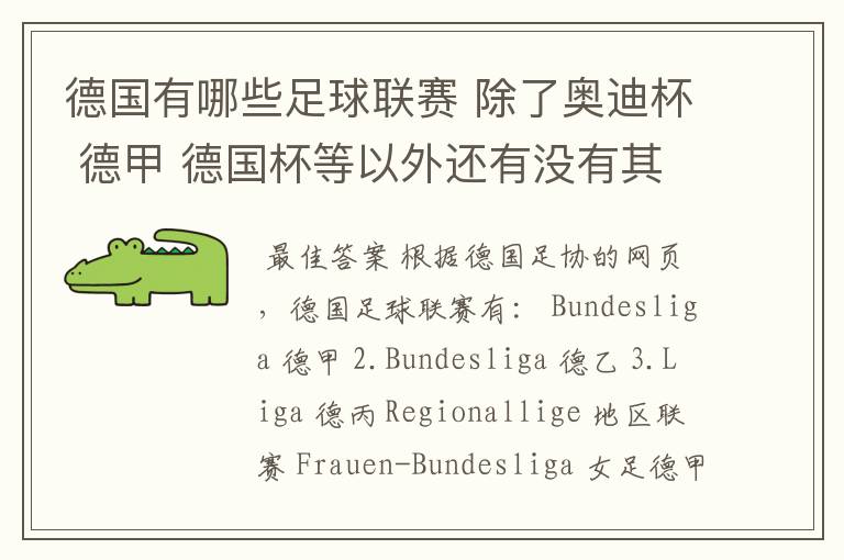 德国有哪些足球联赛 除了奥迪杯 德甲 德国杯等以外还有没有其他的？