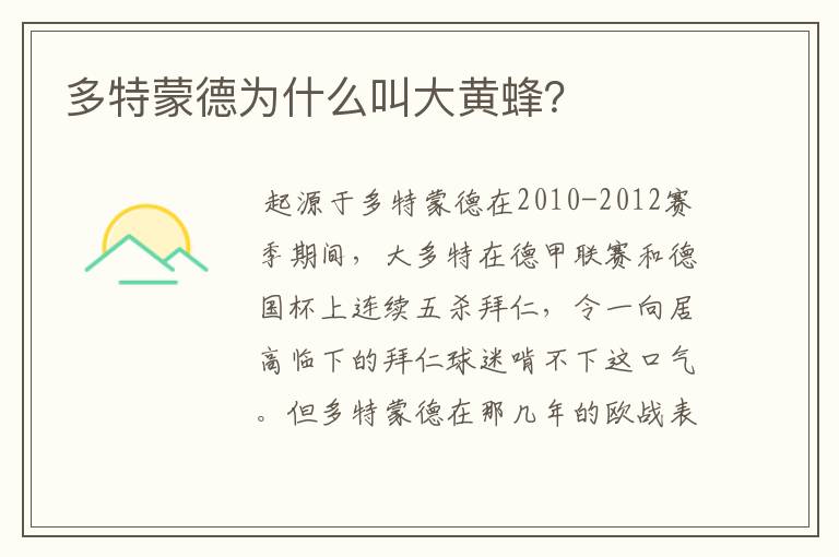 多特蒙德为什么叫大黄蜂？