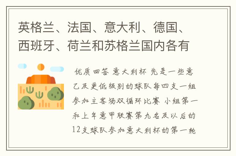 英格兰、法国、意大利、德国、西班牙、荷兰和苏格兰国内各有什么杯赛？