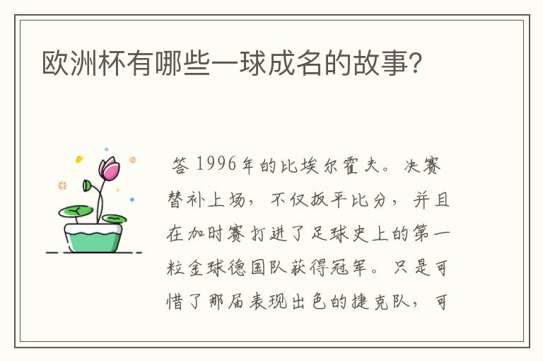 欧洲杯有哪些一球成名的故事？