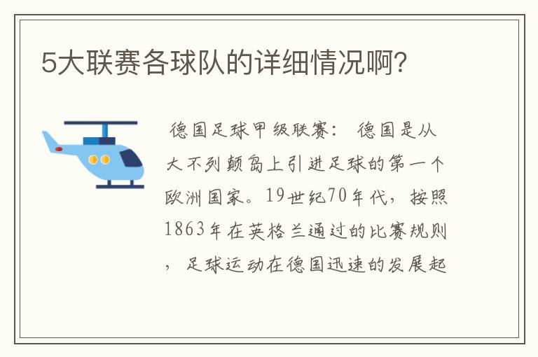 5大联赛各球队的详细情况啊？