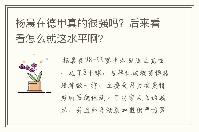 杨晨在德甲真的很强吗？后来看看怎么就这水平啊？