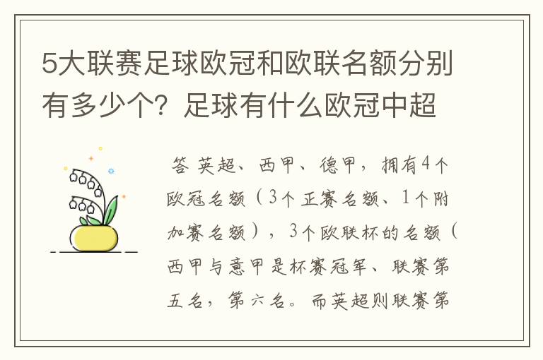 5大联赛足球欧冠和欧联名额分别有多少个？足球有什么欧冠中超还