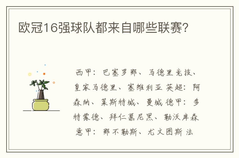 欧冠16强球队都来自哪些联赛？