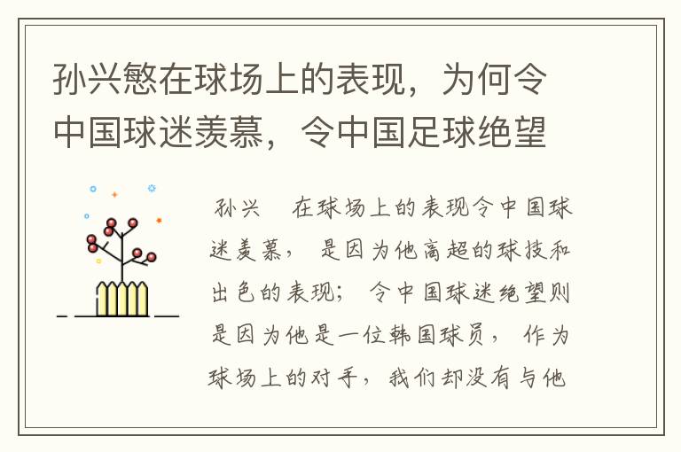 孙兴慜在球场上的表现，为何令中国球迷羡慕，令中国足球绝望？