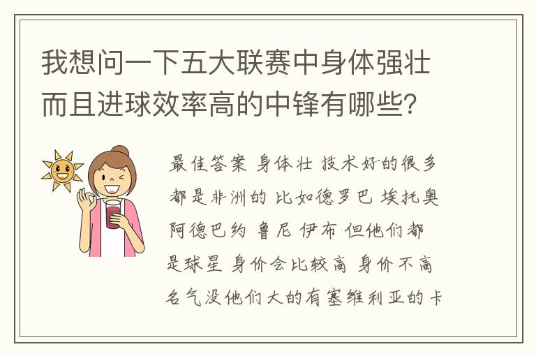 我想问一下五大联赛中身体强壮而且进球效率高的中锋有哪些？