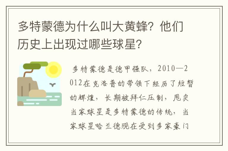 多特蒙德为什么叫大黄蜂？他们历史上出现过哪些球星？