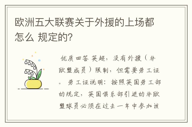 欧洲五大联赛关于外援的上场都怎么 规定的？