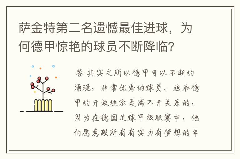 萨金特第二名遗憾最佳进球，为何德甲惊艳的球员不断降临？