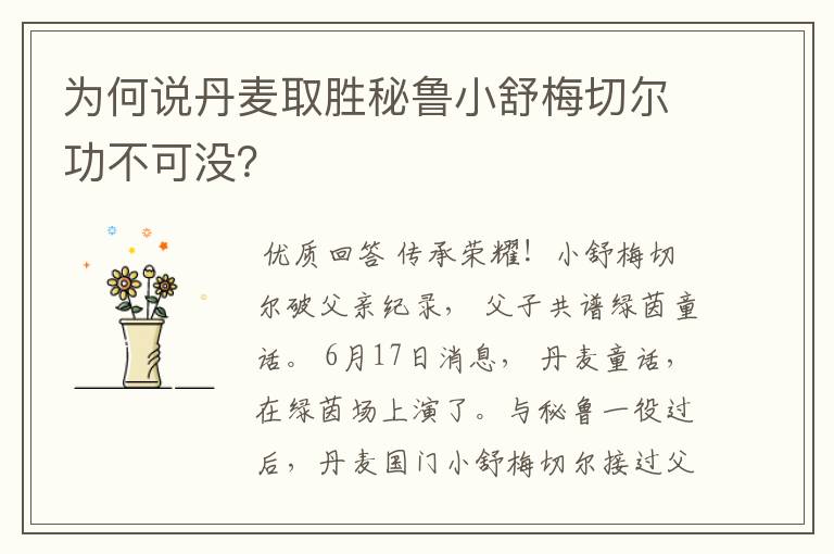 为何说丹麦取胜秘鲁小舒梅切尔功不可没？