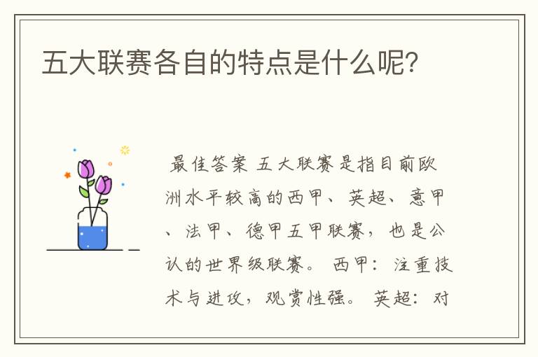 五大联赛各自的特点是什么呢？