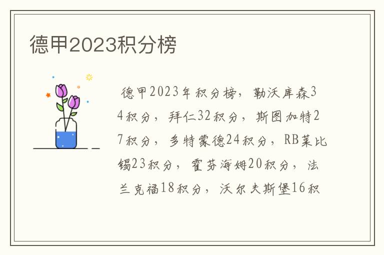 德甲2023积分榜