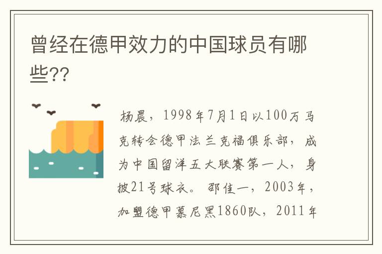 曾经在德甲效力的中国球员有哪些??