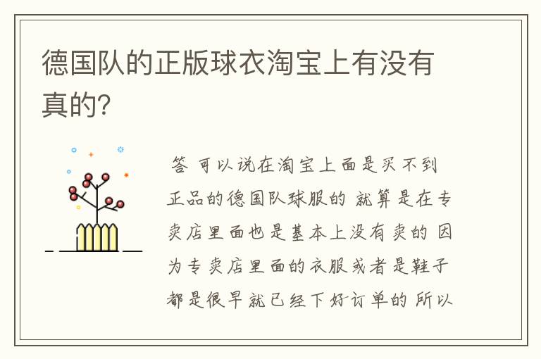 德国队的正版球衣淘宝上有没有真的？