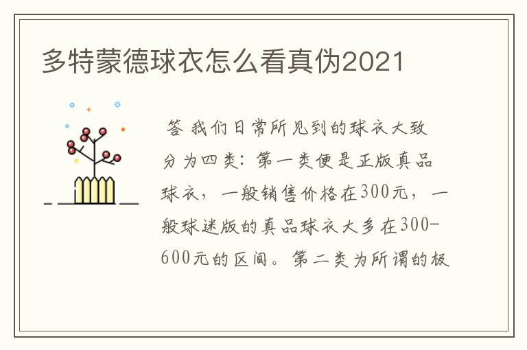 多特蒙德球衣怎么看真伪2021