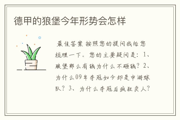 德甲的狼堡今年形势会怎样