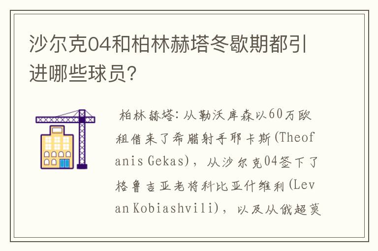 沙尔克04和柏林赫塔冬歇期都引进哪些球员？