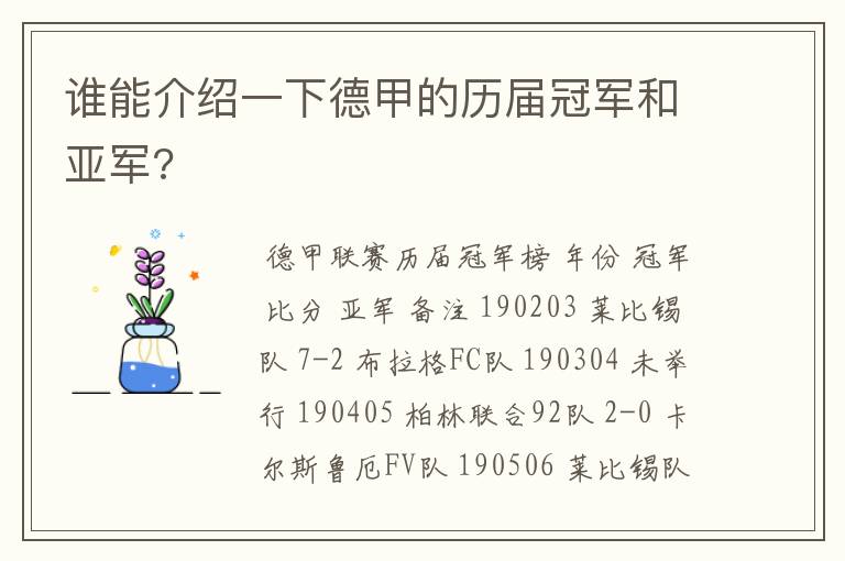 谁能介绍一下德甲的历届冠军和亚军?