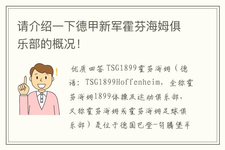 请介绍一下德甲新军霍芬海姆俱乐部的概况！