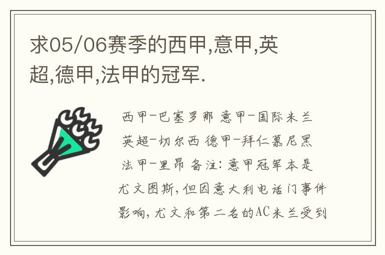 求05/06赛季的西甲,意甲,英超,德甲,法甲的冠军.