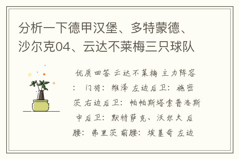 分析一下德甲汉堡、多特蒙德、沙尔克04、云达不莱梅三只球队的人员打法和阵型